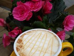 -森居forest休闲咖啡聚集地