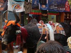 -吉祥圣雪藏餐