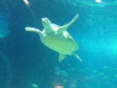 -常州海昌海洋探索馆