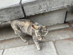 -四门塔风景区