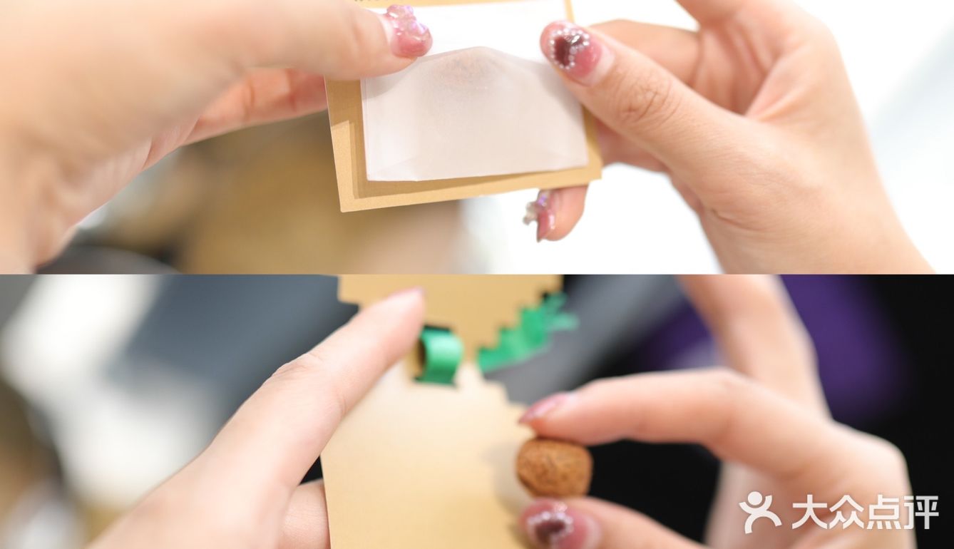 杭州周末好去处｜打卡蚂蚁🐜森林现场版