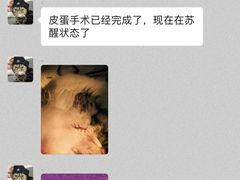 -创凡宠物医院·骨专科  猫科中心(西乡分院)