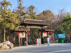 -句容茅山景区