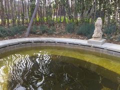 -大连金石滩绿发温泉假日酒店