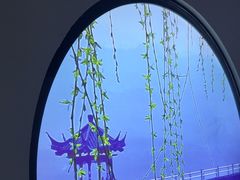 -上足·影院足道·SPA(红岭店)