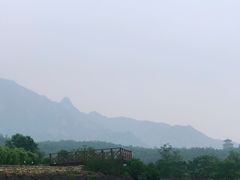 -紫云台香草园