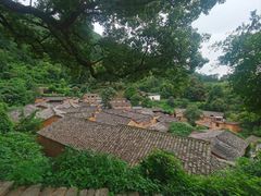 -杨家堂村