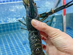 -星记小馆·小蓝龙·老南京砂锅菜(上海路店)