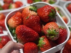 -水之梦(黄浦店)