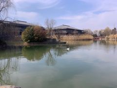 -鹦鹉寺公园