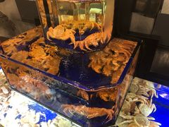 -蟹道乐(道顿堀本店)