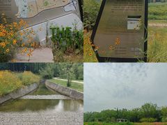 -桤木河湿地公园