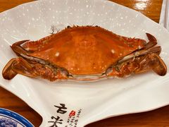 -渔家小院观海海肠捞饭地方菜(环海中路店)