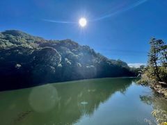 -雁南飞茶田景区