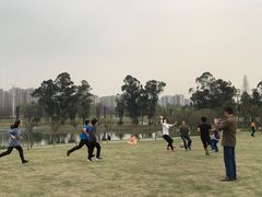 -两河城市森林公园