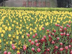 -常州环球恐龙城维景国际大酒店