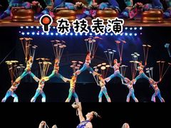 -威海华夏城景区