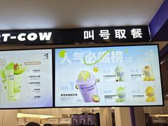 -一只酸奶牛(洪崖洞11楼店)