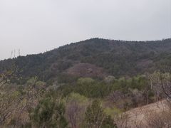 -北京十三陵国家森林公园蟒山景区