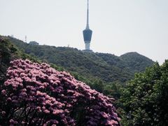 -梧桐山风景名胜区