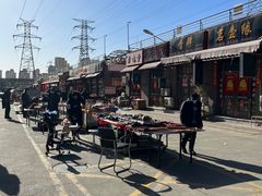 -中环花鸟鱼虫市场