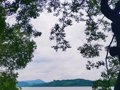 -天目湖山水园
