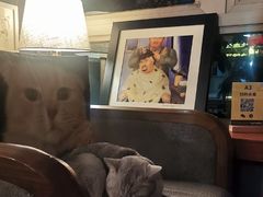 -咖法森林·咖啡  酒吧(天河店)