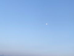 -深圳湾公园(南山区)