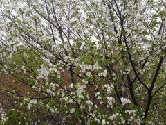 -九里河湿地公园