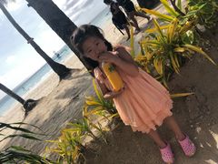 -Jonah's Fruit Shake & Snack Bar