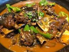 野生甲鱼-茶叁酒肆·楚味江湖(菱角湖店)