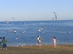 -银沙滩浴场