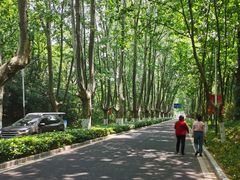 -紫金山山顶公园