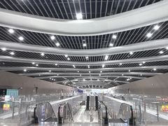 -金鸡湖景区