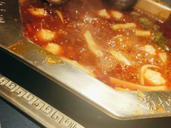 -蜀九香火锅(彩虹店)