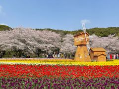 -苏州上方山国家森林公园