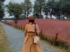 -汉长安城未央宫国家考古遗址公园