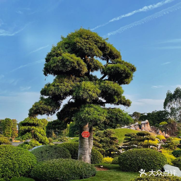 南宁不去后悔一辈子的景点