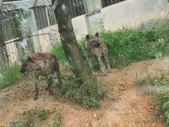 -泉州海丝野生动物世界