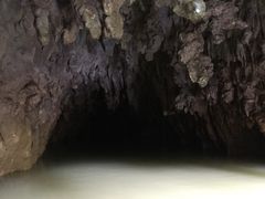 -怀托摩萤火虫洞