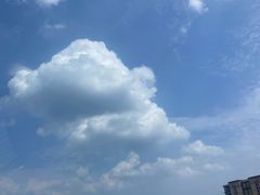 -塔斯汀中国汉堡(西湖景顺铂悦城店)