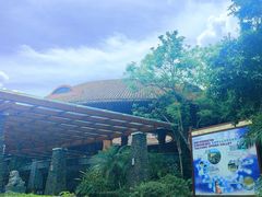 -海口观澜湖火山温泉谷