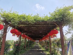 -同銮特种养殖场·龙虾垂钓