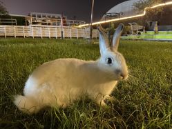 -小蜜蜂农场(凯德七宝购物广场店)