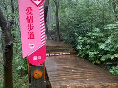 -天目湖山水园