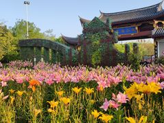 景观位-福州西湖大酒店·怡湖咖啡厅
