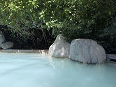 -麦积山温泉