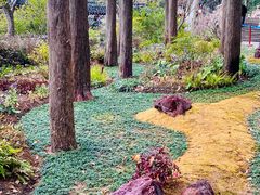 -上海醉白池公园