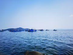 -海源公园