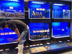-协成海鲜火锅(海洋花园店)